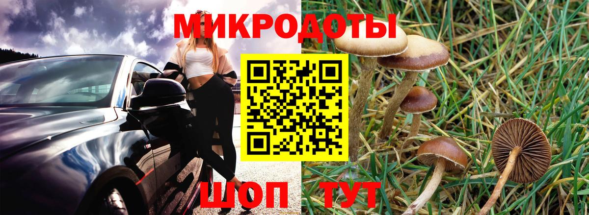 Псилоцибиновые грибы мухоморы  Вход с VPN  Галлюциногенные грибы прущие грибы  Темрюк 